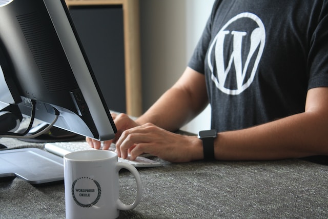 How Much Will a WordPress Website Cost in 2024? [A Complete Guide]